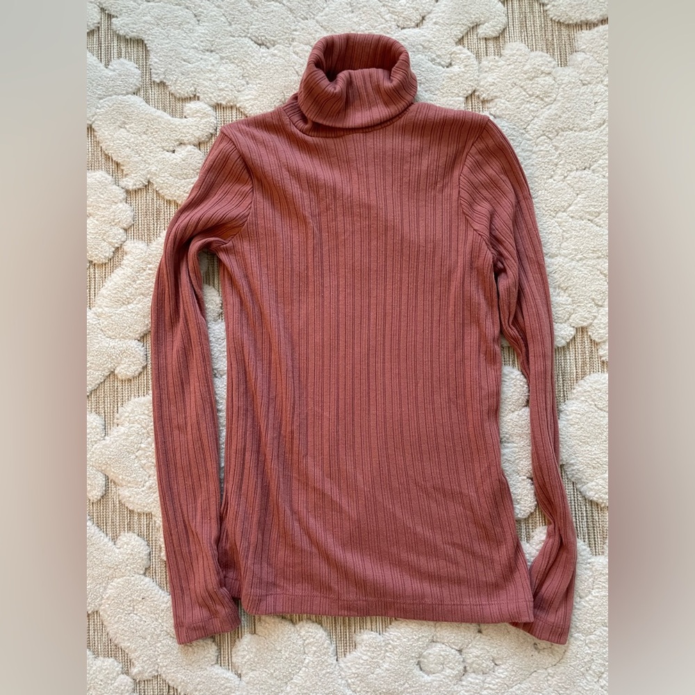 J. Crew Ribbed Turtlenck